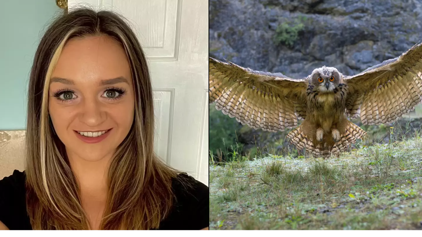 Giant Two-And-Half Foot Owl 'Tried To Eat' UK Jogger