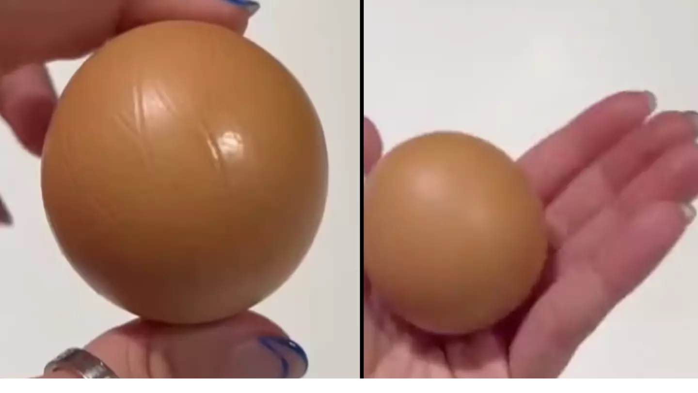 'One-in-a-billion' perfect round egg could sell for thousands