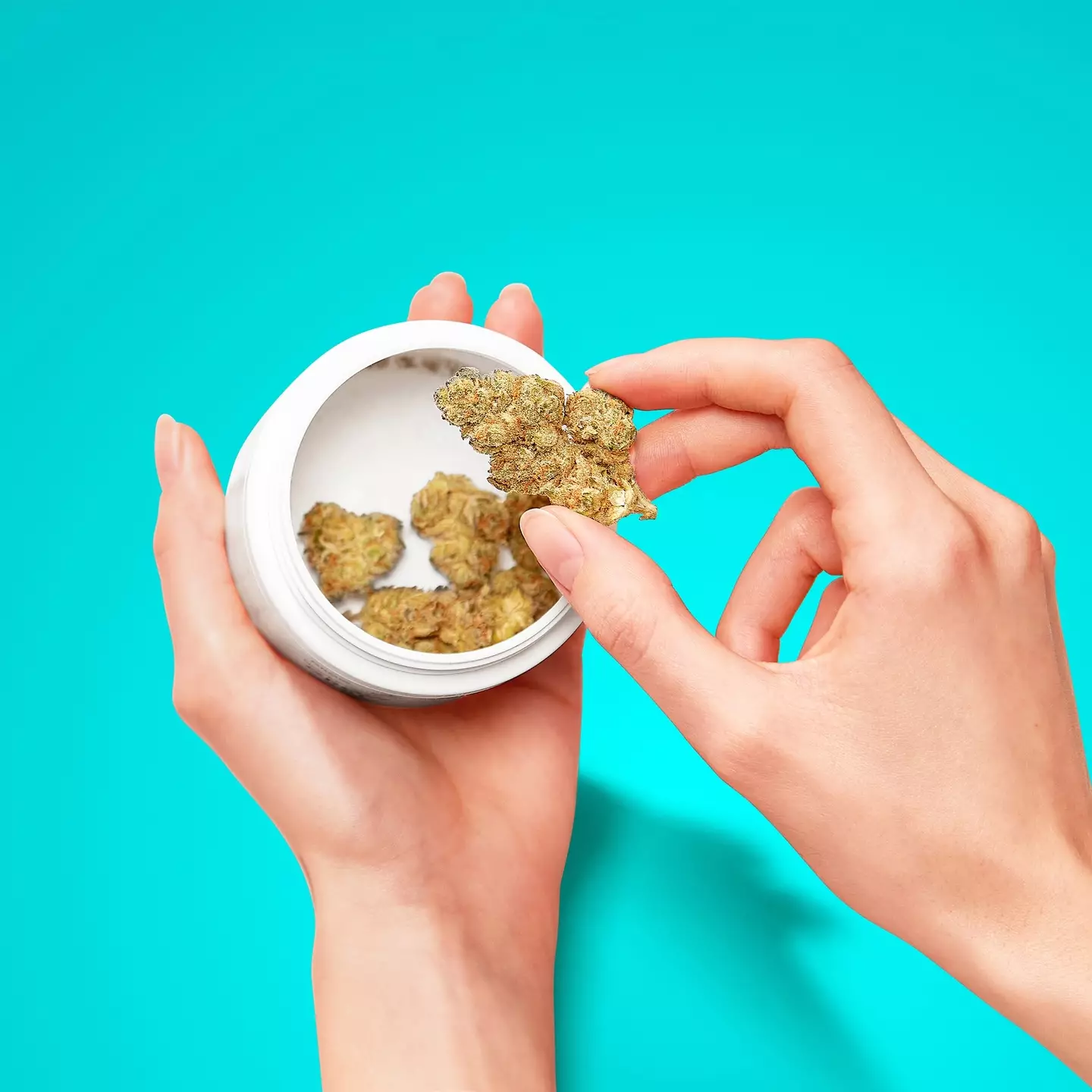 The company are looking to raise awareness amongst those who are currently accessing their medication through illicit means and are 'unaware of the legal pathway that is available'.