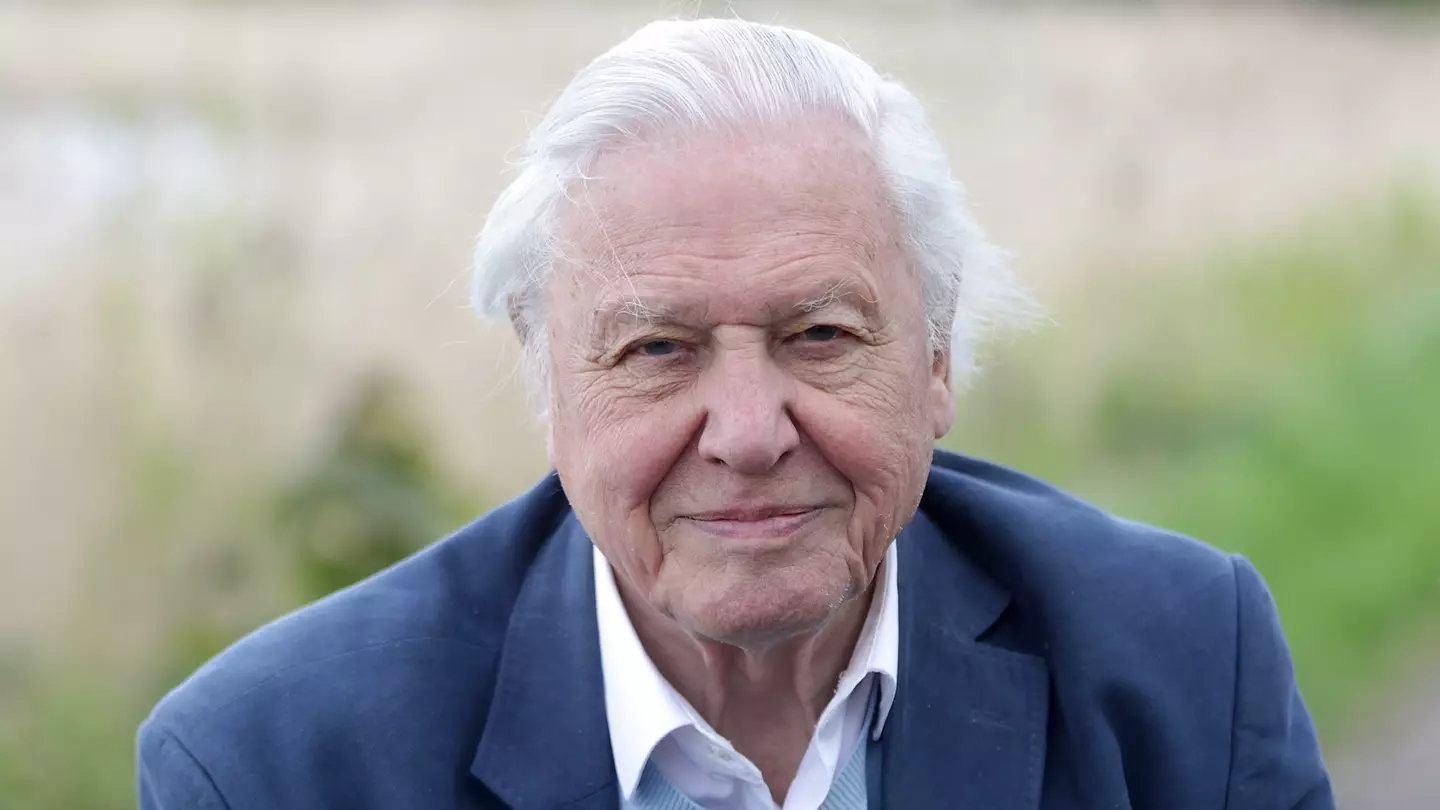 Sir David Attenborough said he has one regret over his legendary broadcasting career as he turns 99