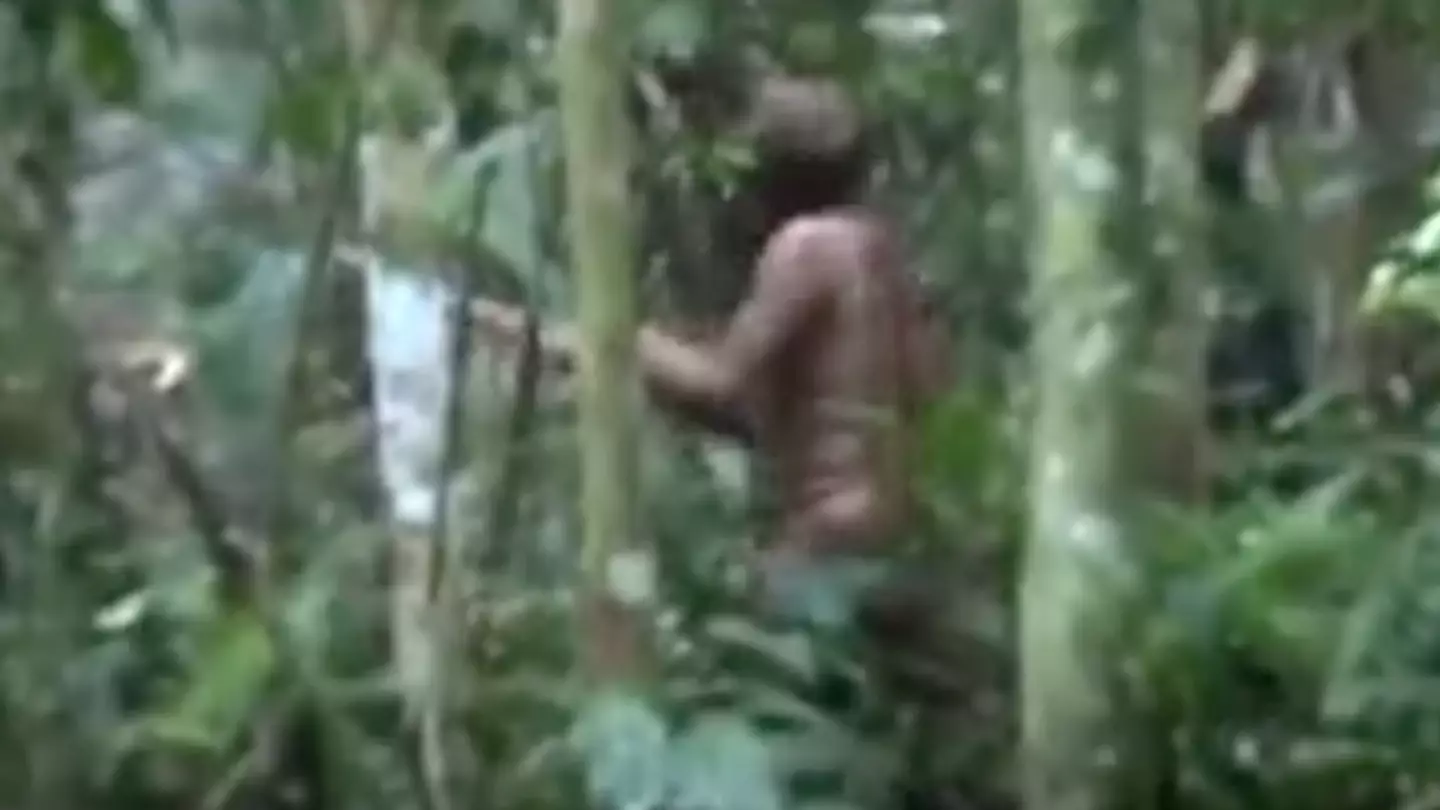 Tragic story of the 'loneliest man in the world' who spent 26 years alone in the Amazon rainforest