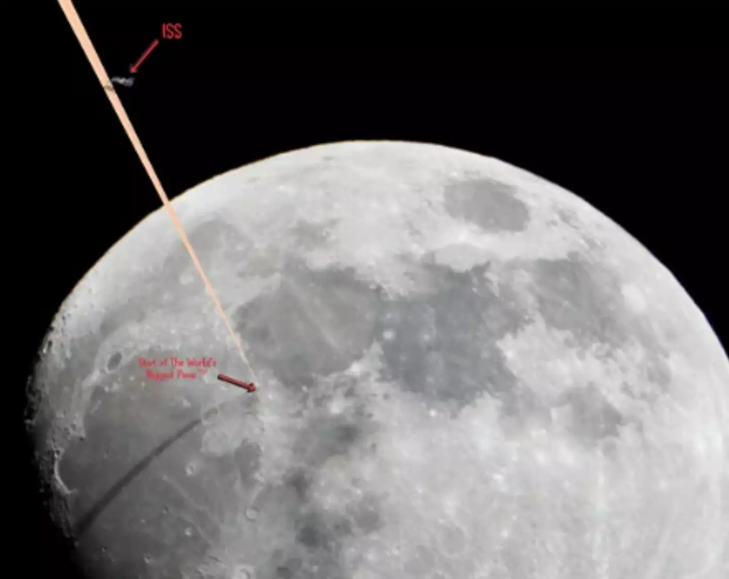 Here's what the penis would look like in outer space.