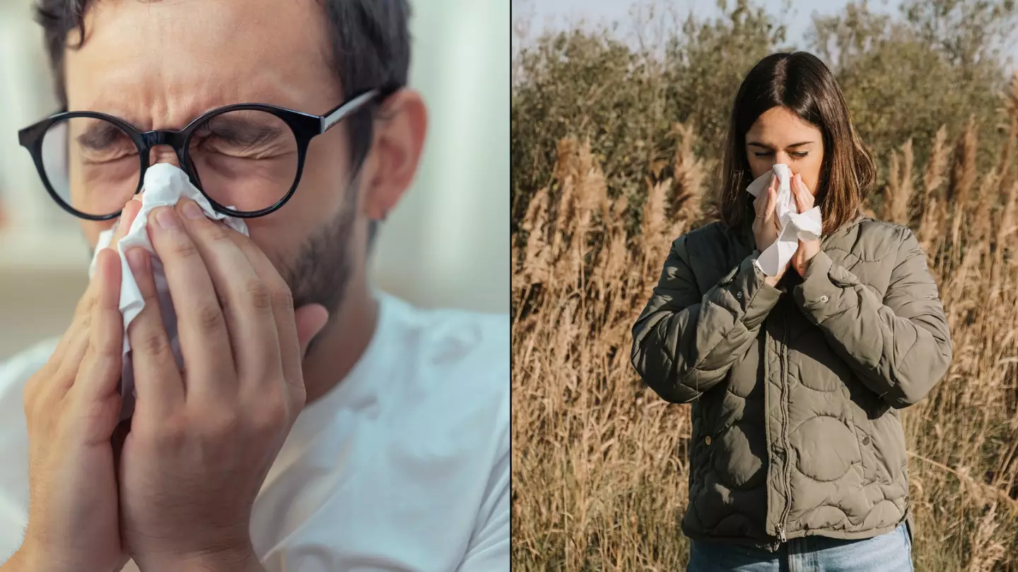 Interesting reason you may have noticed your hay-fever so much more this year