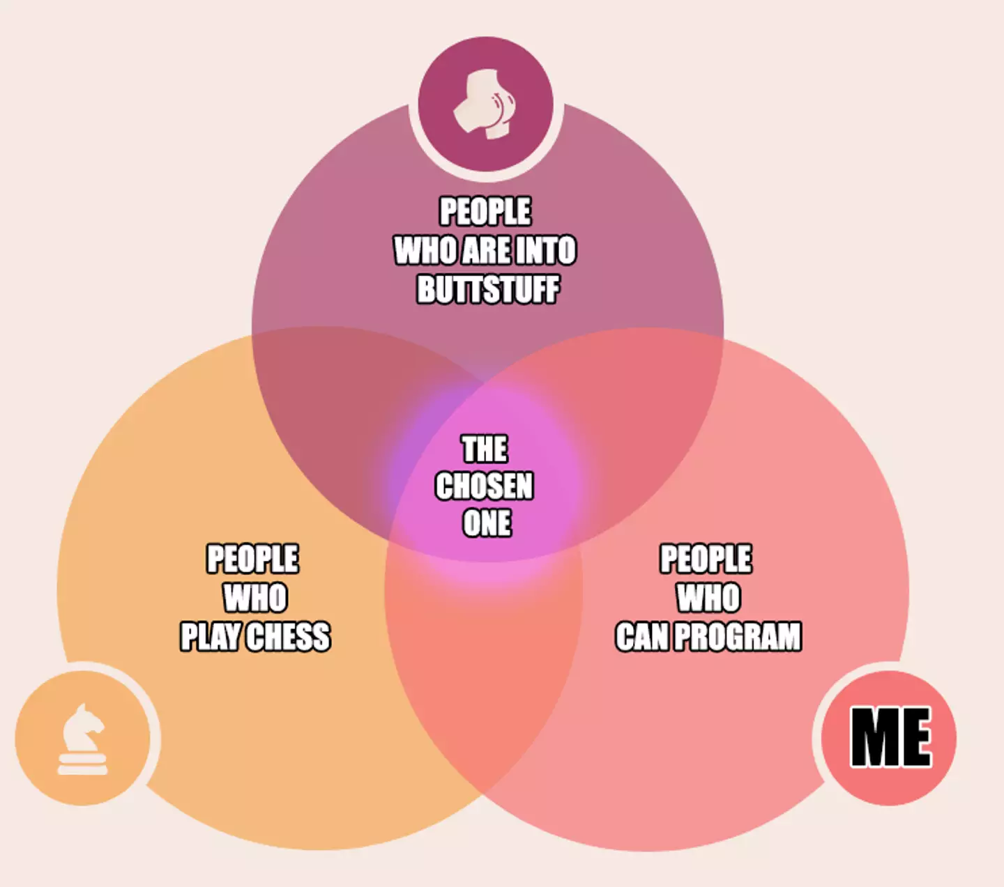 Ron Sijm created this Venn diagram to 'illustrate how rare the chances are' that someone would develop this software.