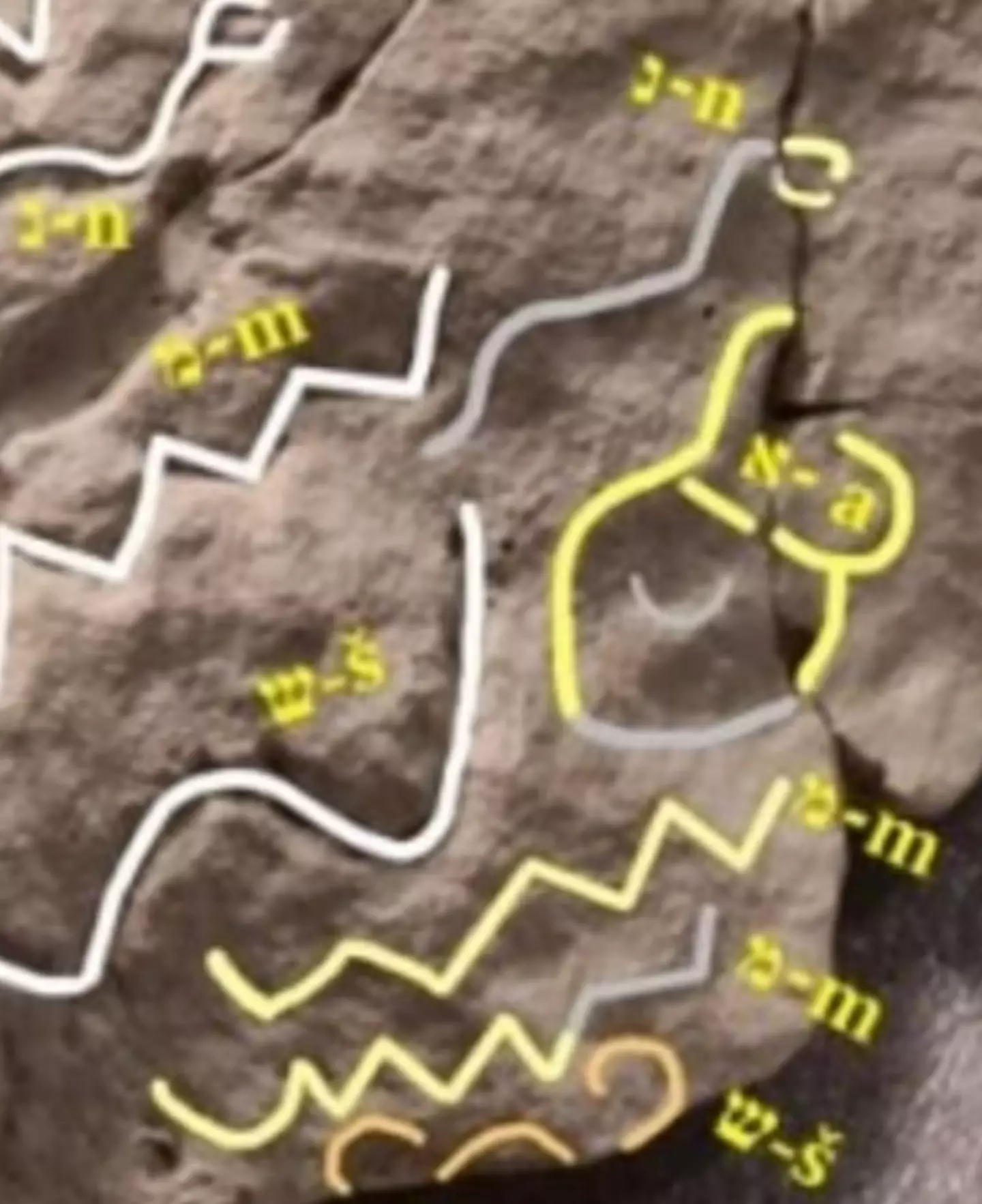 The discovery was made in an Ancient Egyptian mine (Johannes Gutenburg University of Mainz)