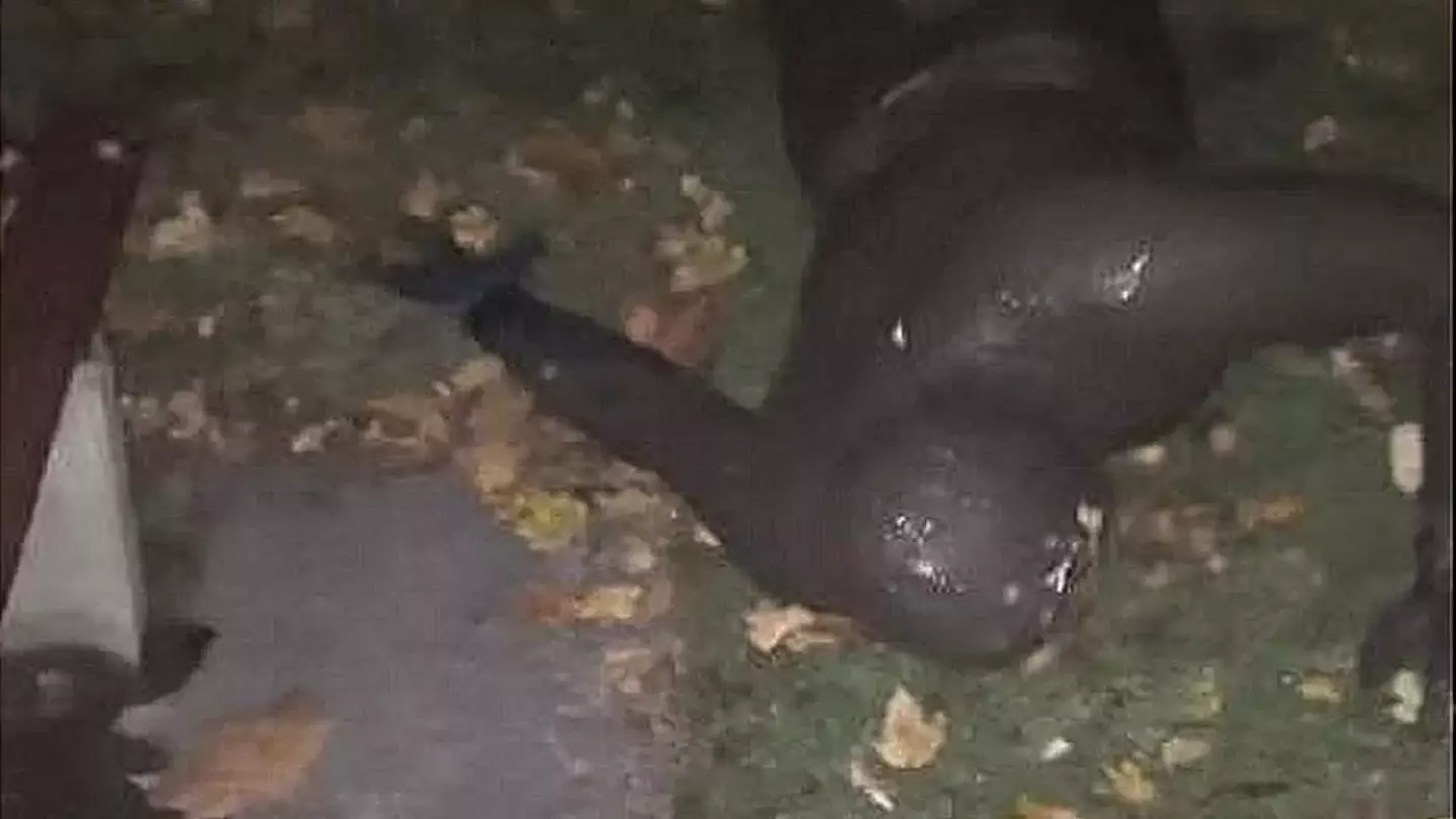 Police are determined to get to the bottom of things.