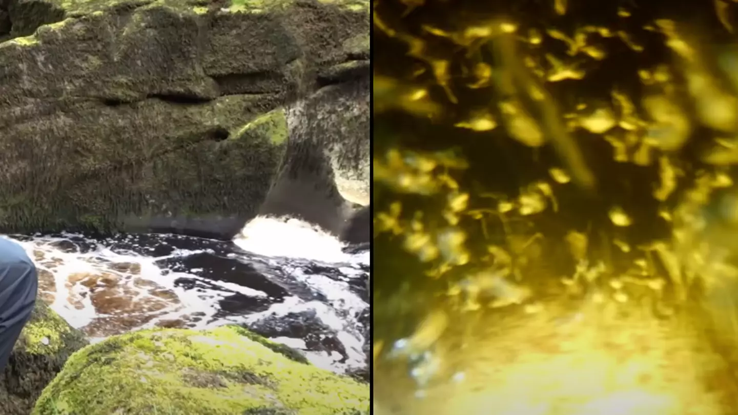 Man lowers camera to bottom of 'world's most dangerous river' and it shows a 'terrifying' reality