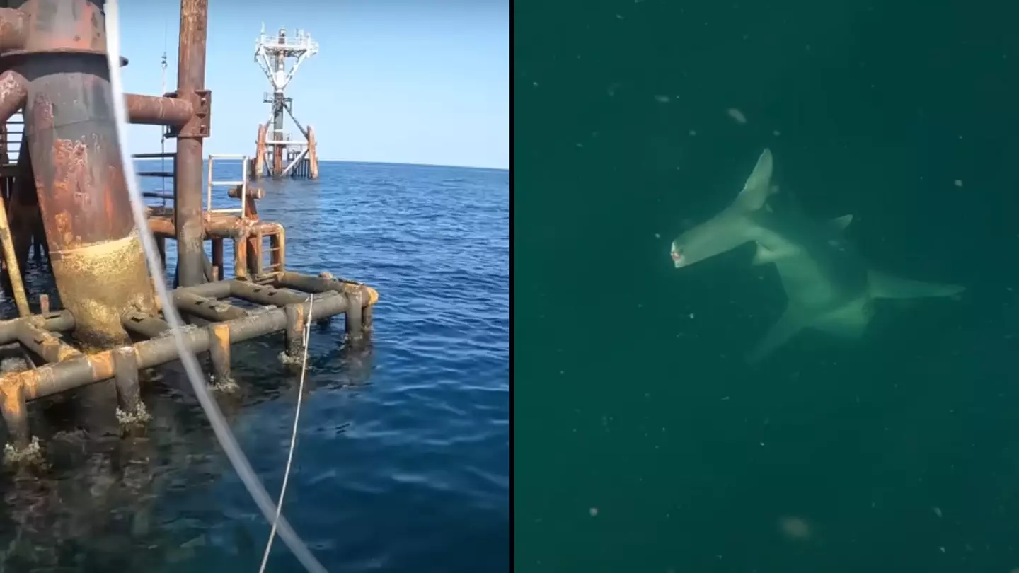 Man makes terrifying discovery after attaching GoPro to fishing rod he dropped under his boat
