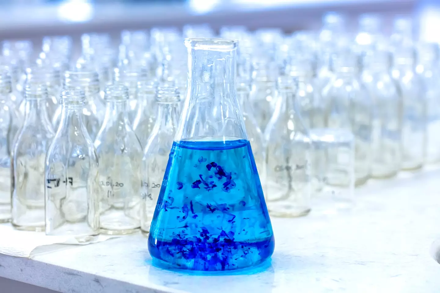 Methylene blue has boomed in popularity recently, thanks to it being referred to as a 'limitless pill' on social media (Getty Stock Image)