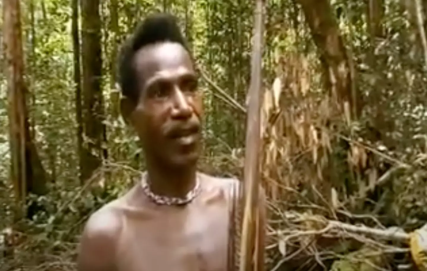 Filmmaker who travelled to 'cannibal tribe' showcases moment man admits to 'eating his friend' 1 The tribes follow rituals that were formed thousands of years ago (Youtube/Journeyman Pictures)