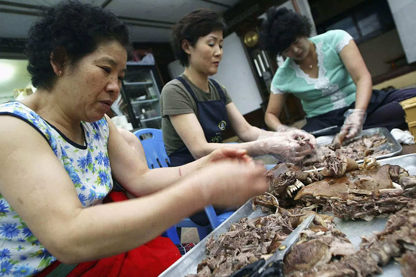 If the South Korean government can pass their ban it'll bring in a three-year grace period before dog meat is banned.