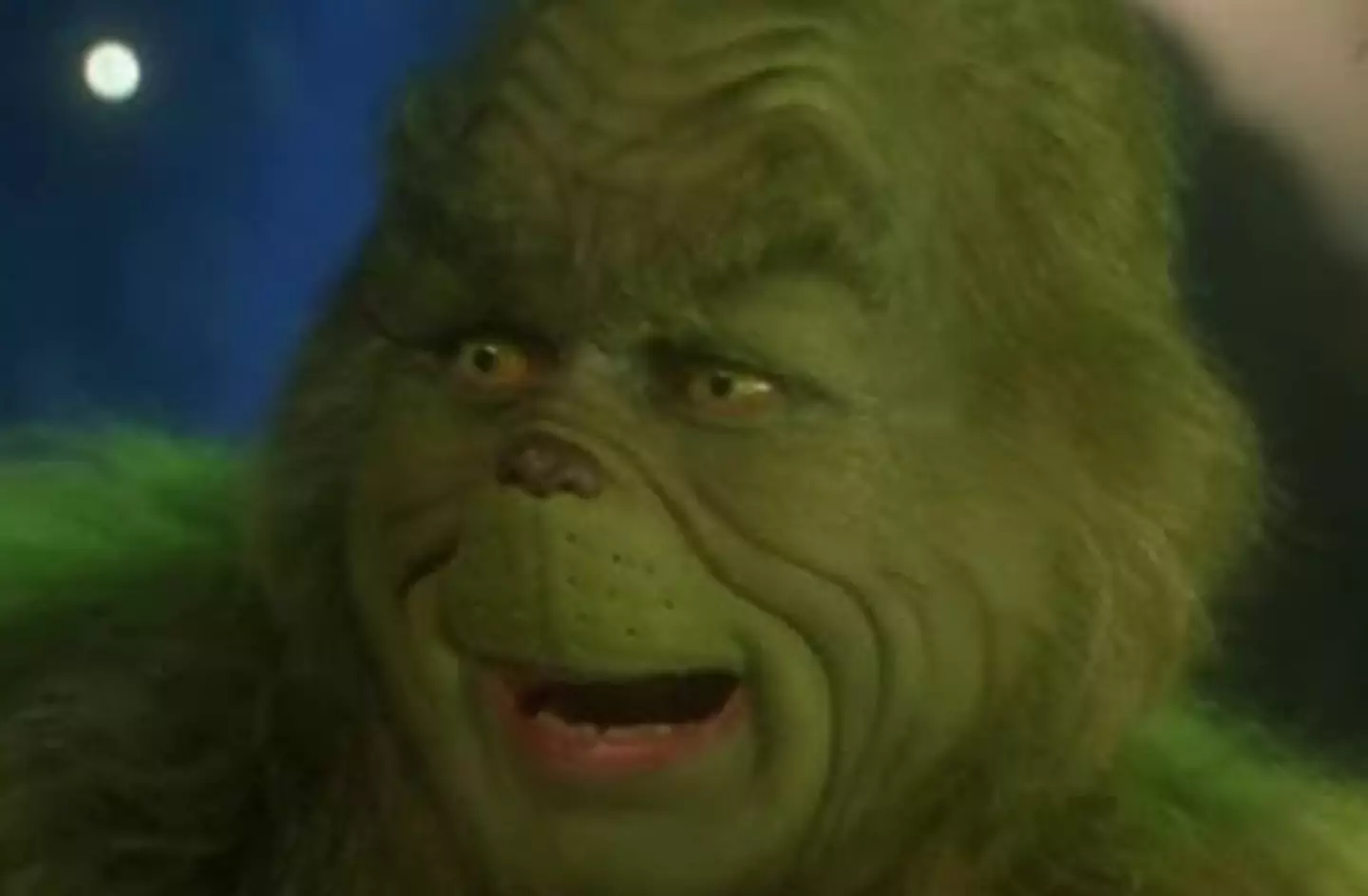 Jim Carrey really suffered for his art (Universal Pictures)