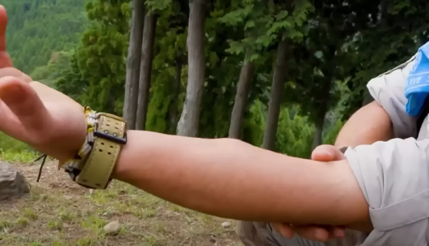 The pain lasted 'close to six hours'. (YouTube/Brave Wilderness/Inside Edition)