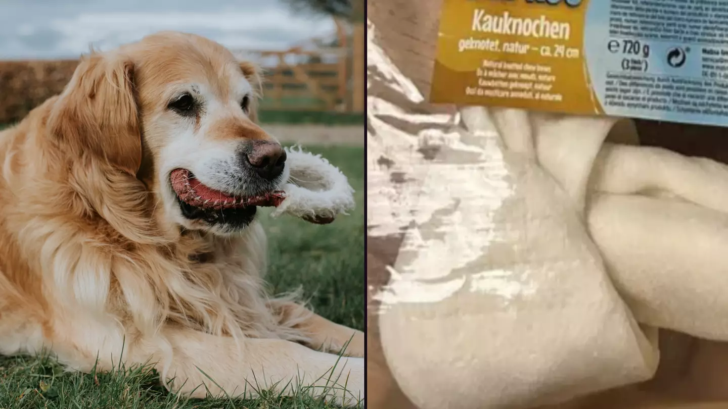 Brits given urgent warning over dog toy that can cause 'werewolf syndrome'