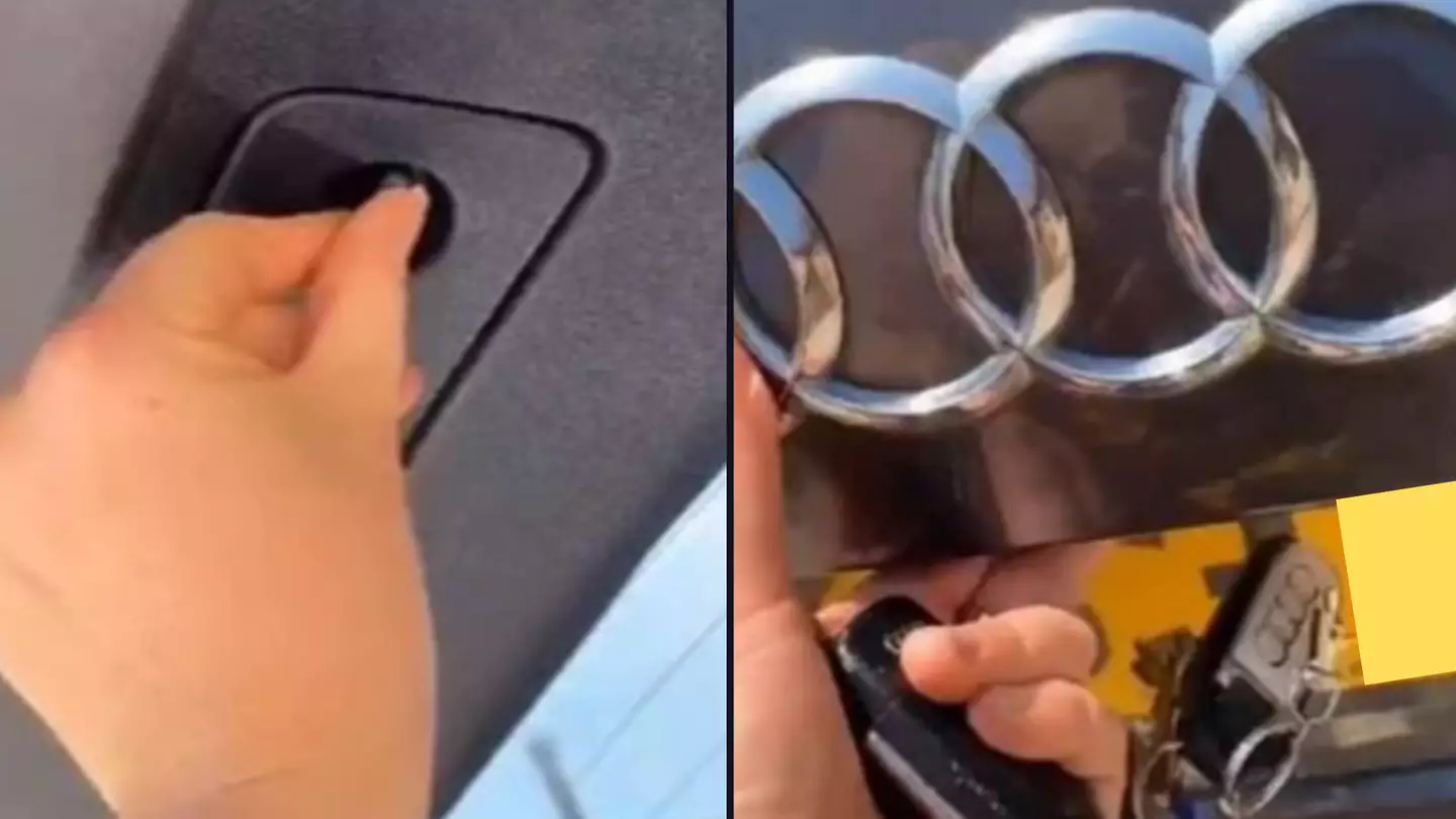 TikTok / @francescaca7