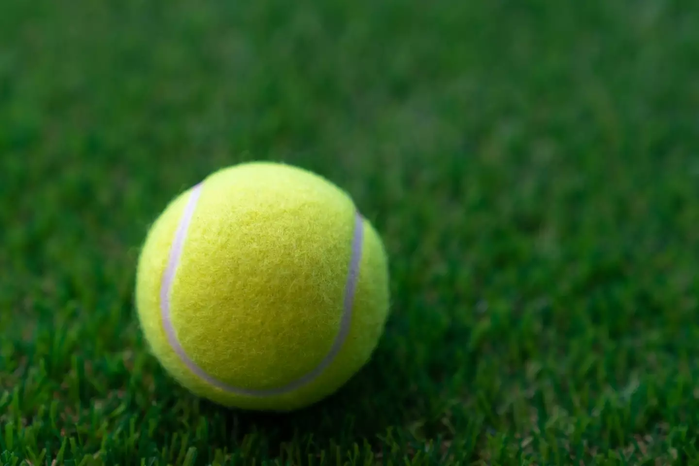 A tennis ball in your hand luggage is apparently the travel hack you need (Getty Stock Image)
