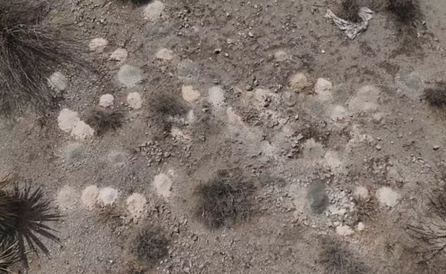 A whopping 315 mounds of human remains were finally recovered earlier this week (KLAS)