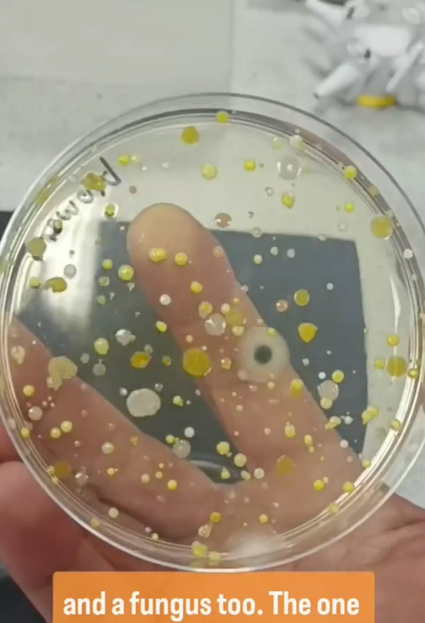 Is this what you want on your hands? (TikTok/@devonscience)