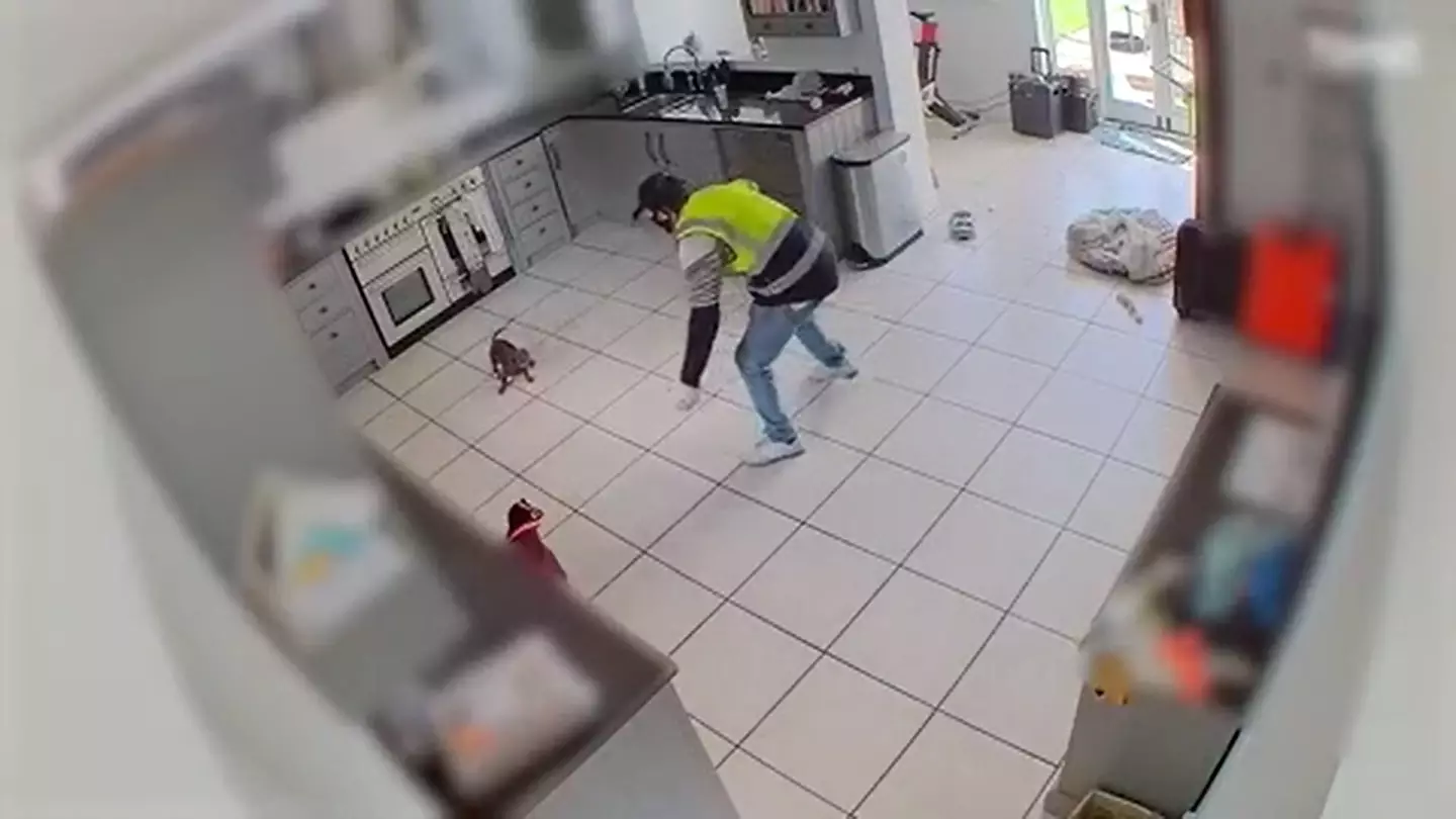 Footage showed the armed burglar grabbing the dog and stealing her.