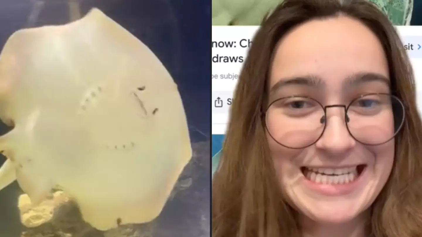 Woman shares Jesus theory after stingray got pregnant without any mates in tank