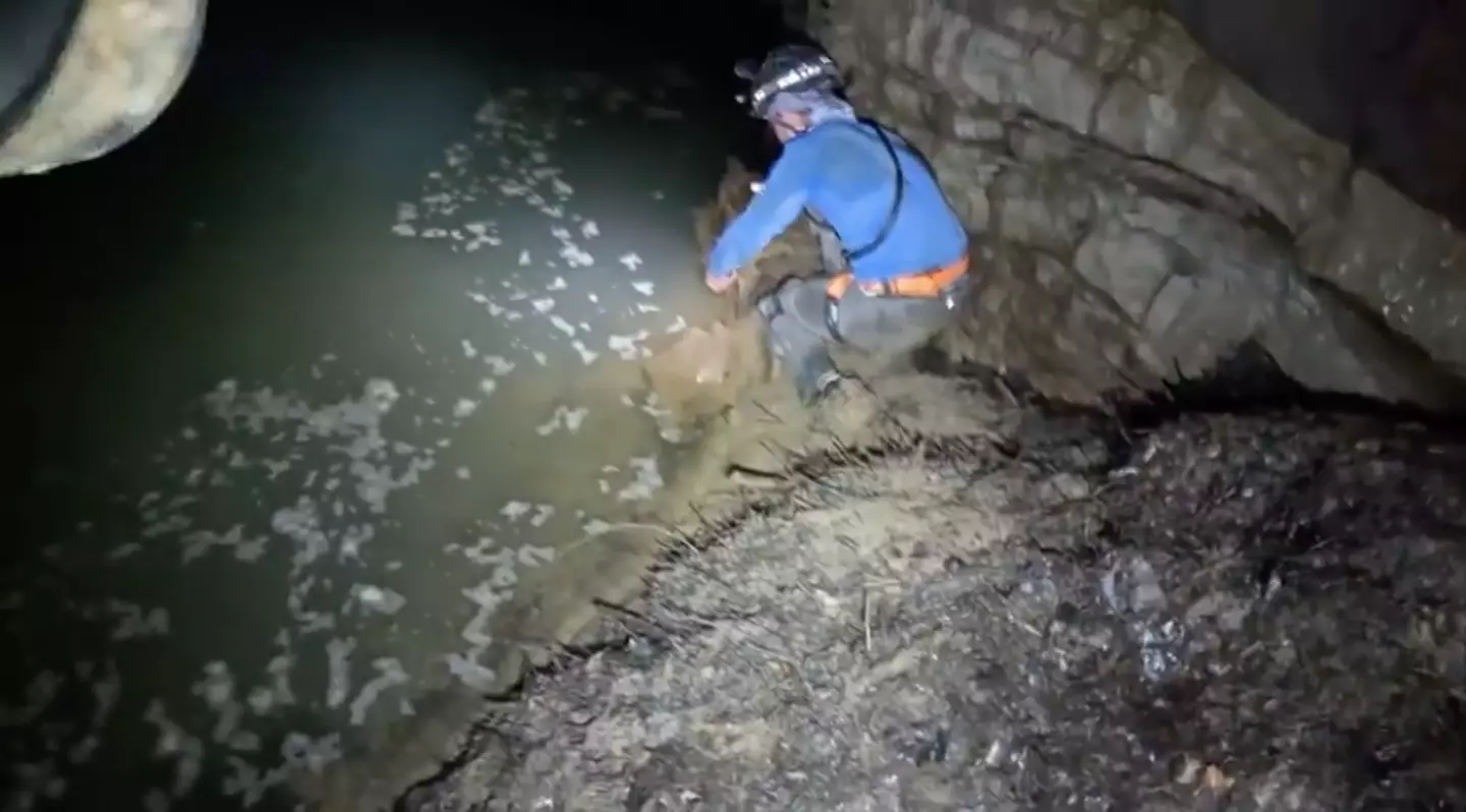 Just befriending a lobster in a cave. (YouTube/ActionAdventureTwins)