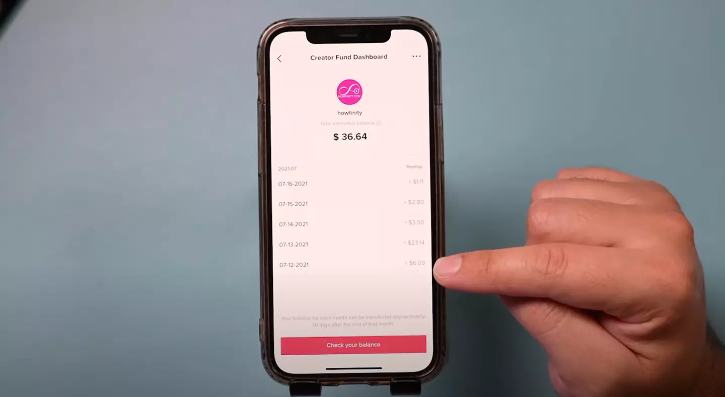 He was paid just $36 in five days (YouTube/Howfinity)