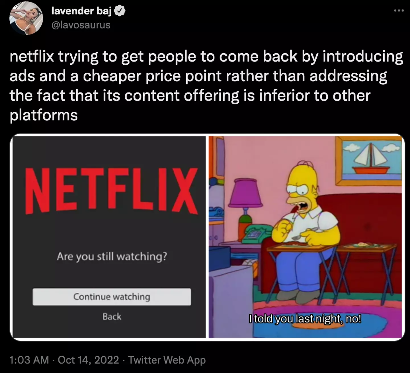 Many subscribers don't think the decision will actually help Netflix retain subscribers.