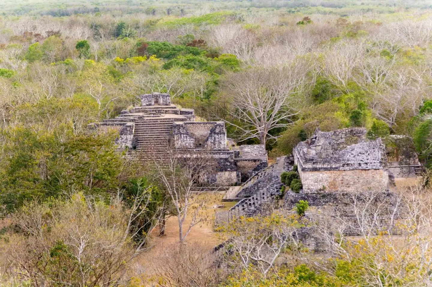 There are a number of theories as to what happened to the Mayans (Geography Photos/Universal Images Group via Getty Images)