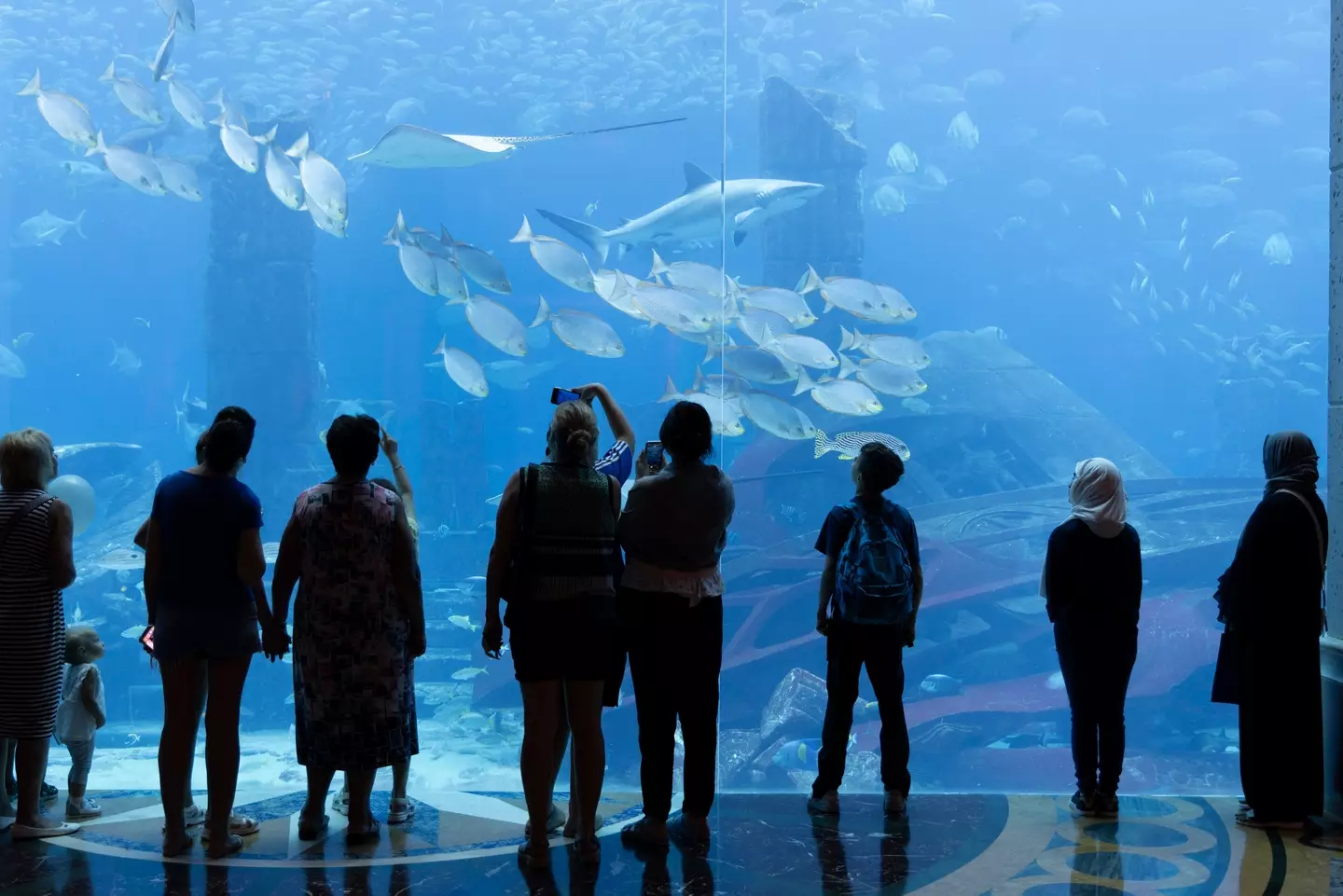 The exhibit has been temporarily closed and police are investigating (stock image).