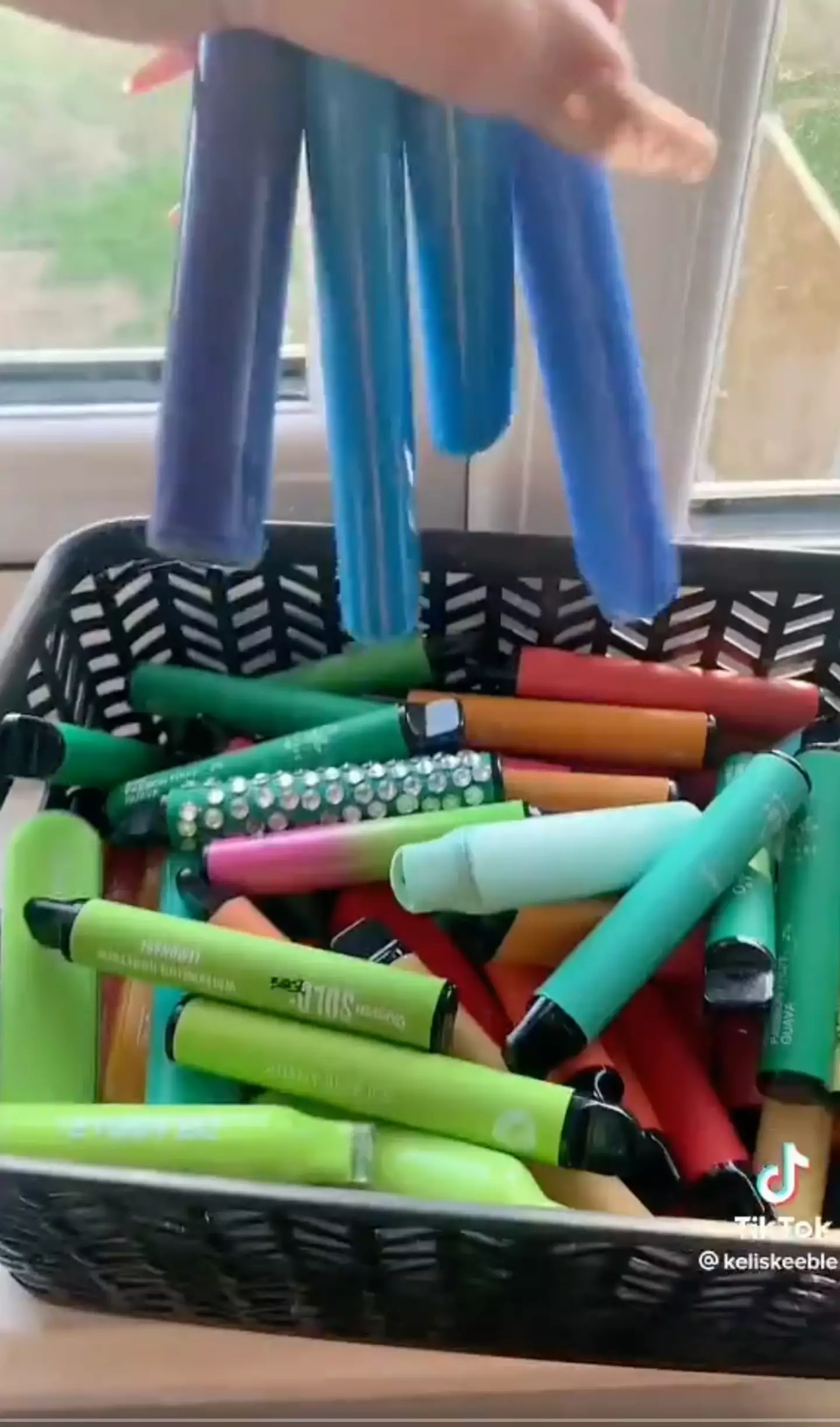 Social media users were shocked by this woman's elf pen collection.