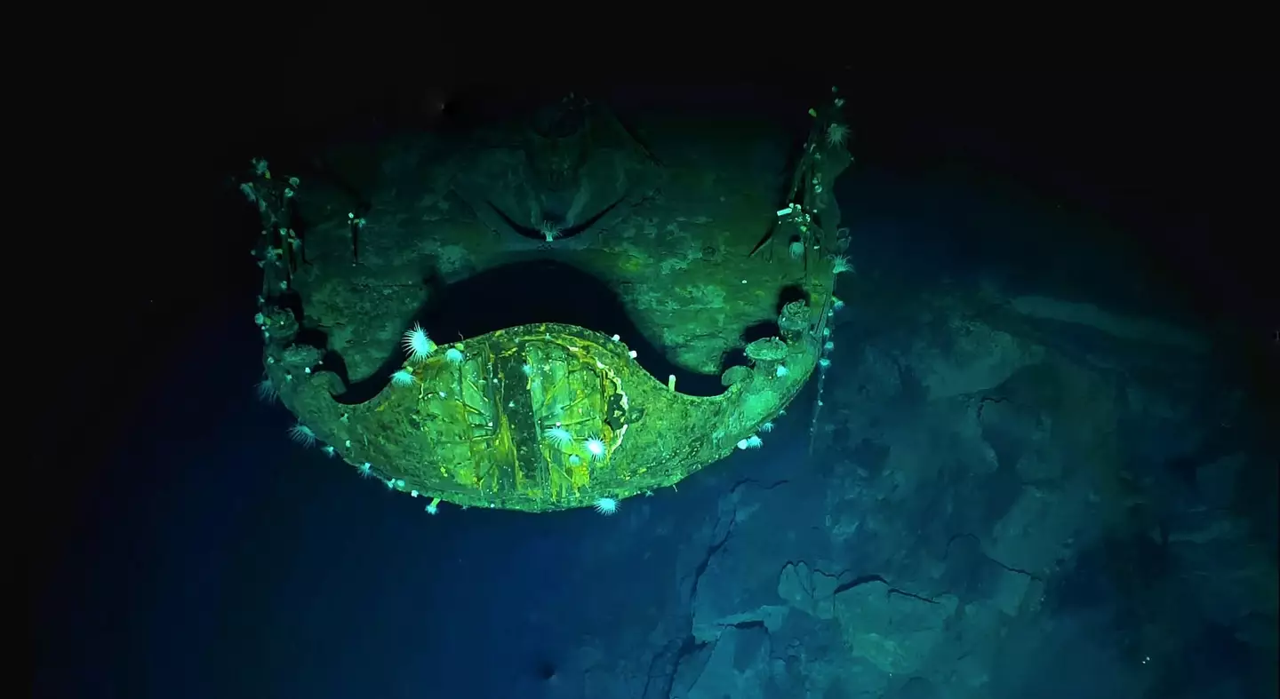 The exhibition is the first time these wrecks have been seen in decades.