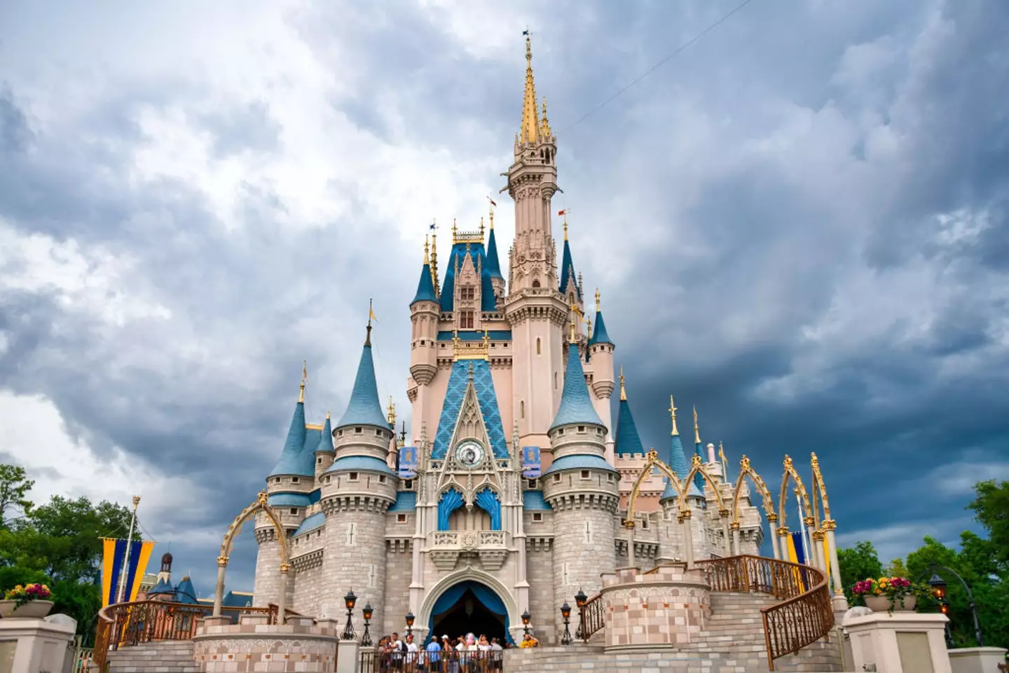 The doctor's husband alleges multiple counts of negligence against Disney Parks and Resorts, and the restaurant where they were eating.