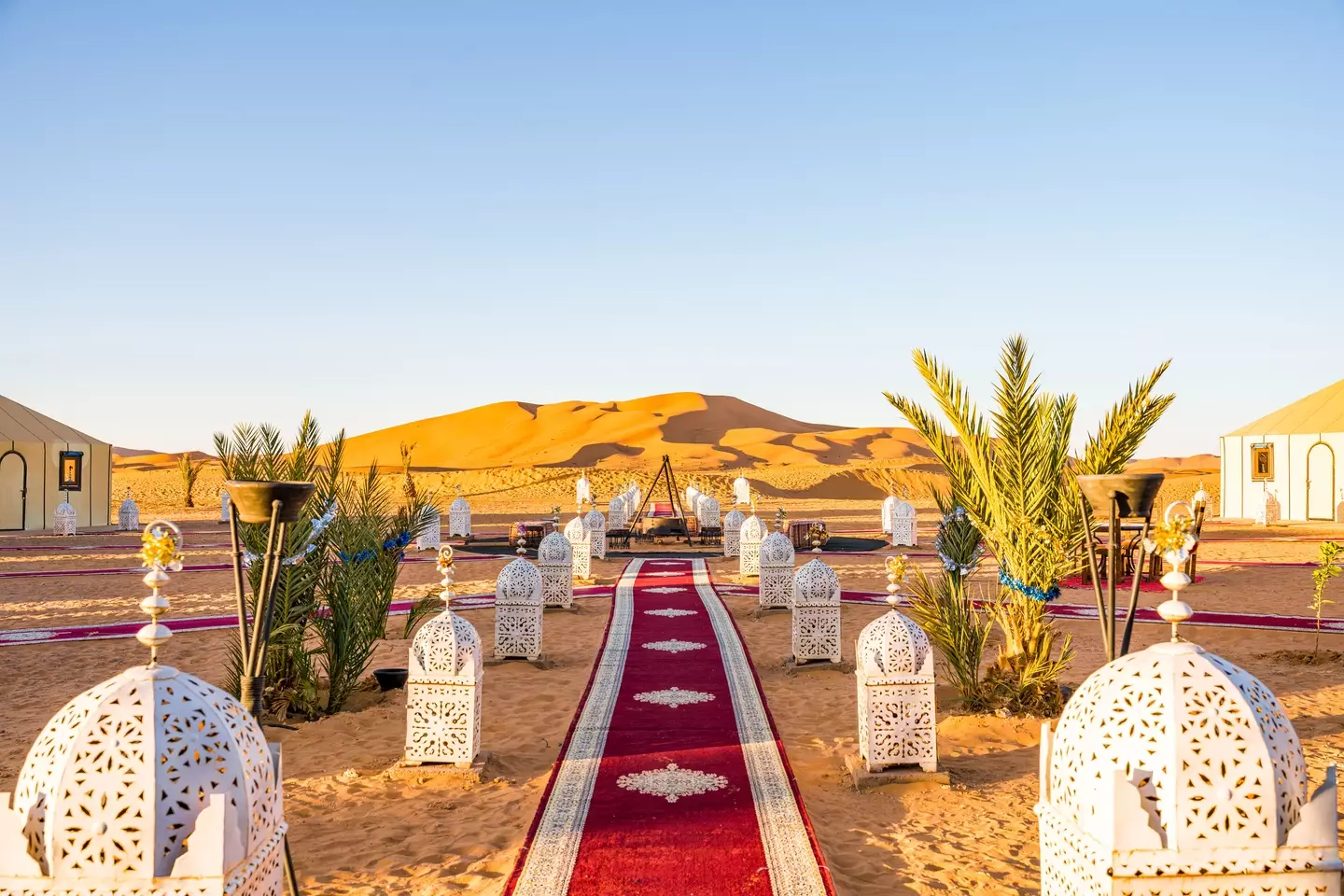 You can camp in the Sahara Desert just outside the city.