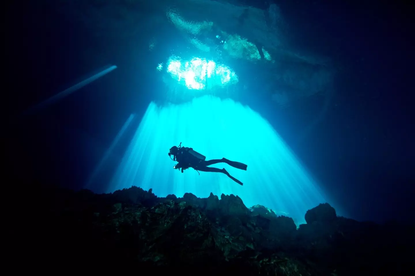 Megalodon teeth have been discovered in a flooded inland cavern in Mexico.