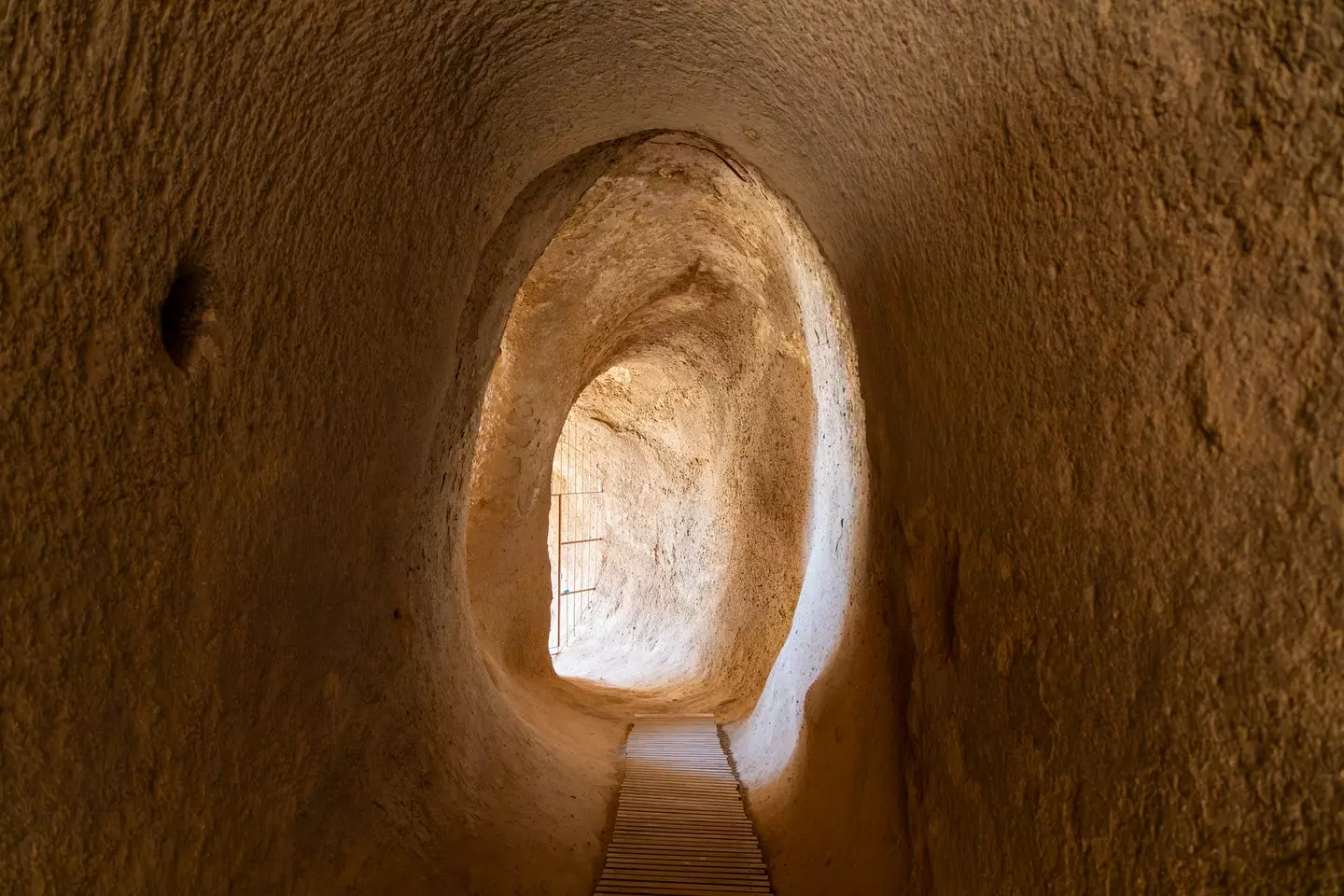 The tunnels were made by pre-historic sloths (Getty Stock Image)