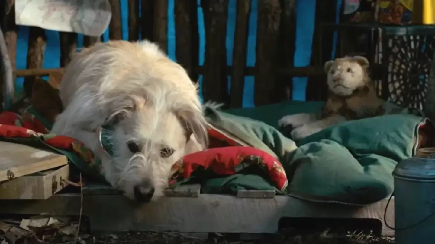 Like Will, Holly and all the other kids, the Byers' family dog also disappeared (Netflix)
