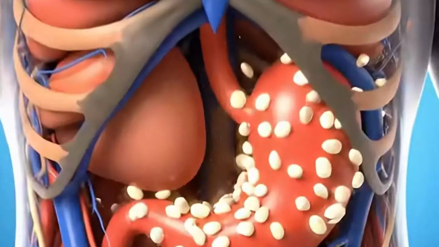 YouTube/Untold_Healing