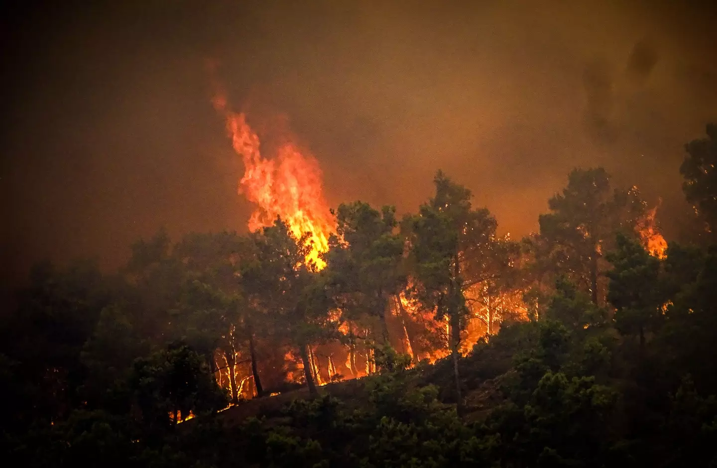 The hot weather is supposed to continue, meaning that the wildfires may be around for a while yet.