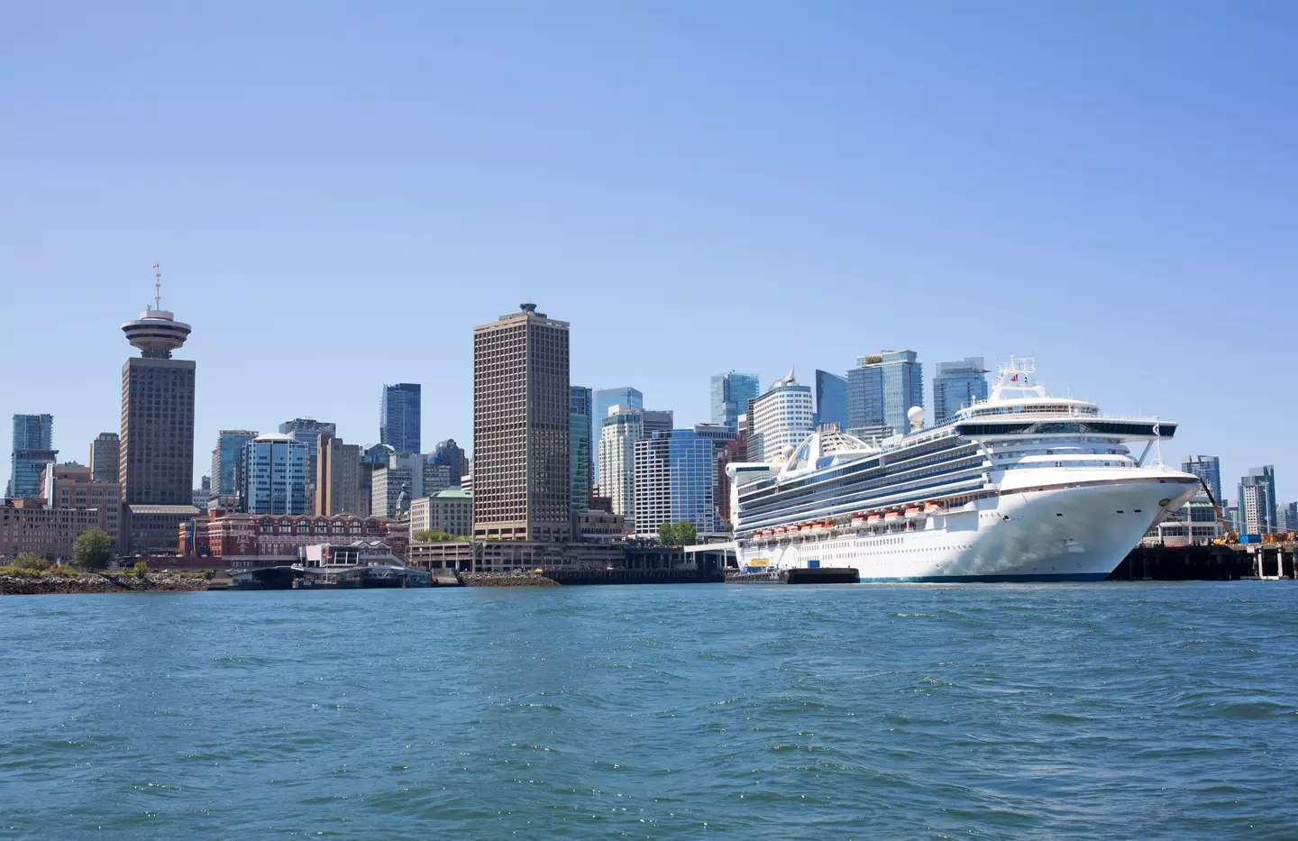 A docked cruise ship.