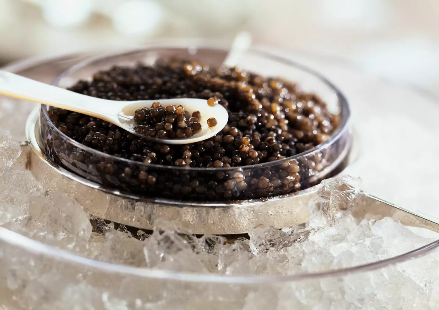 People are just realising how caviar is made.