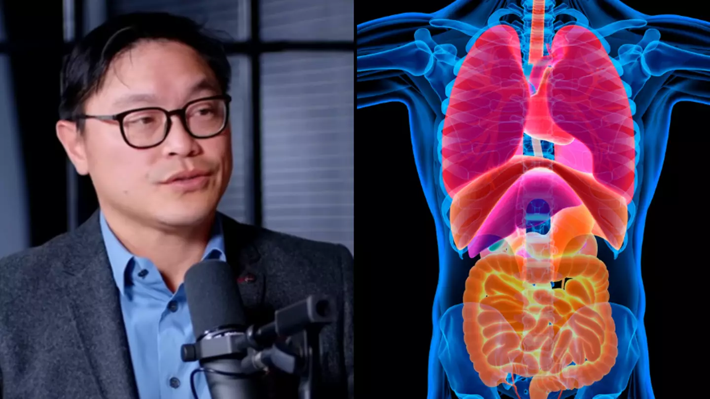 Expert shares surprising thing that happens to your body when you don’t eat that’s the ‘opposite’ of what most think