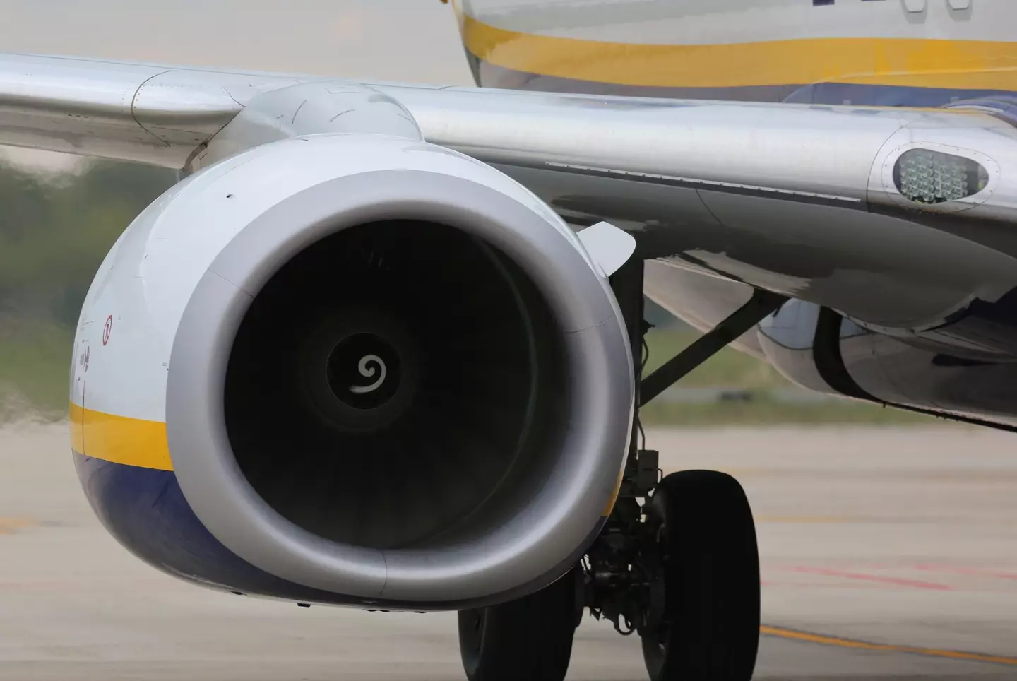 Was the left phalange broken? (Getty Stock Images)