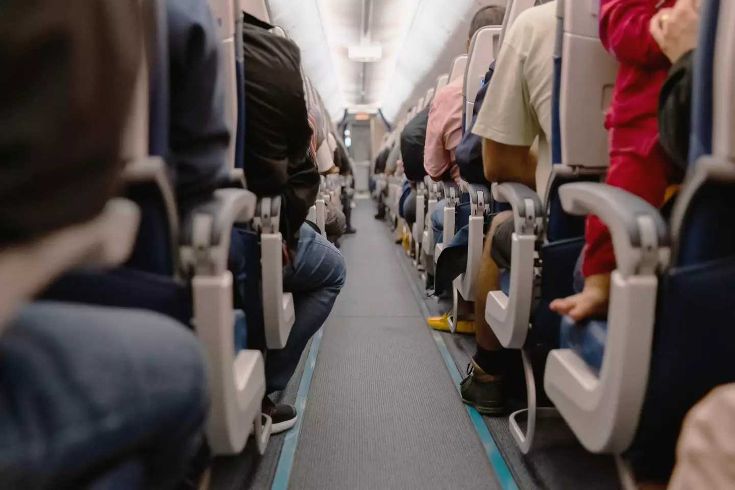 There's one thing you absolutely shouldn't do on a plane, according to the expert.