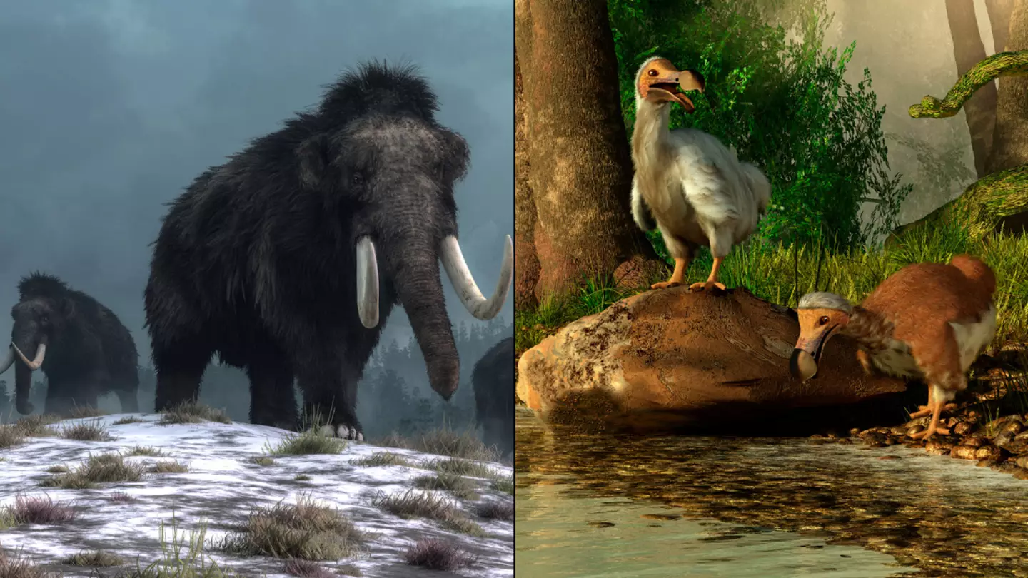 'De-extinction' firm planning to resurrect extinct animals using Jurassic Park-style technology