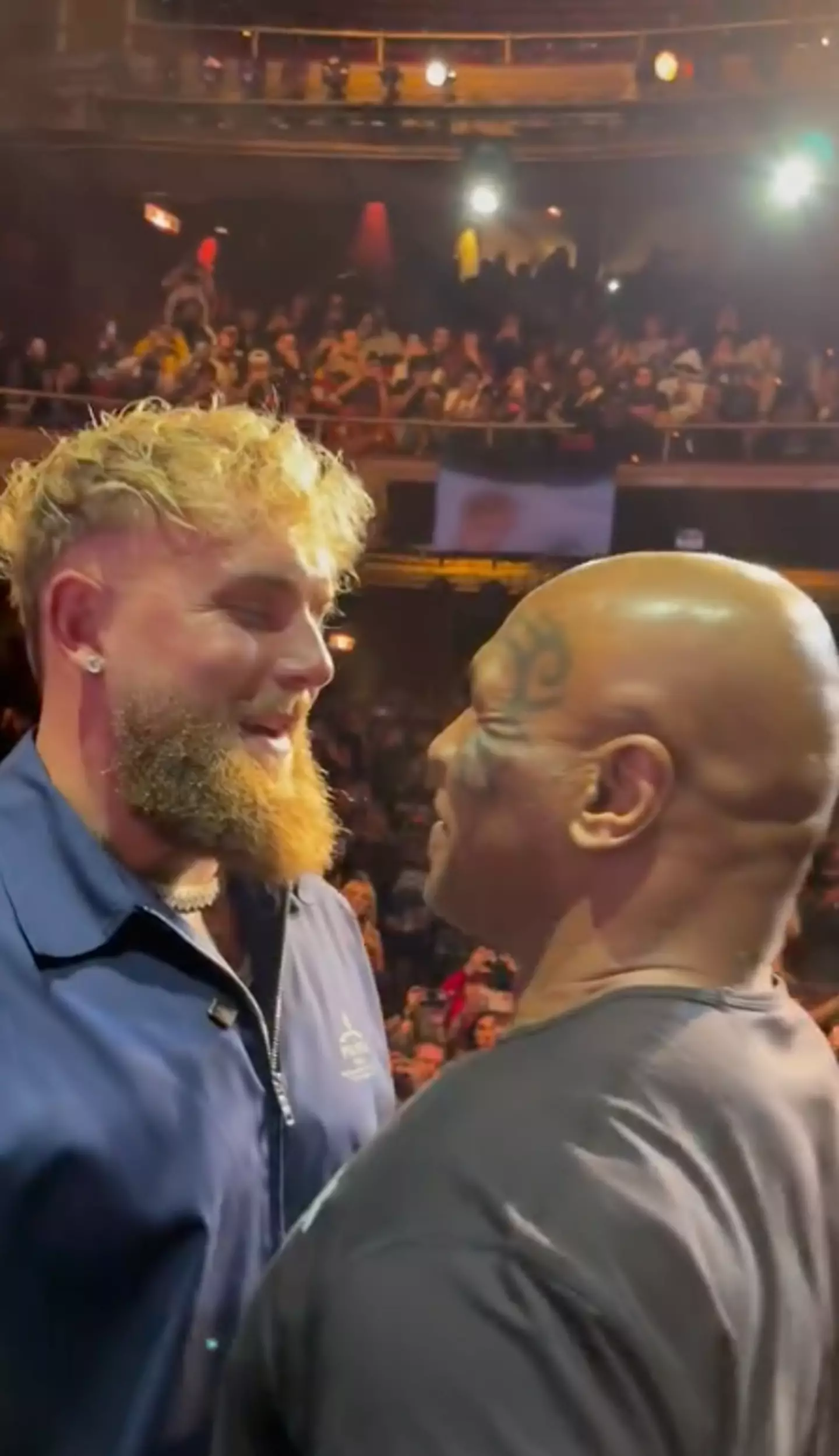 Mike Tyson vs Jake Paul has been postponed. (Instagram/@jakepaul)