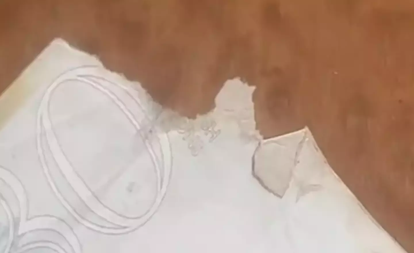 Amy's passport had a tear on an inside page.