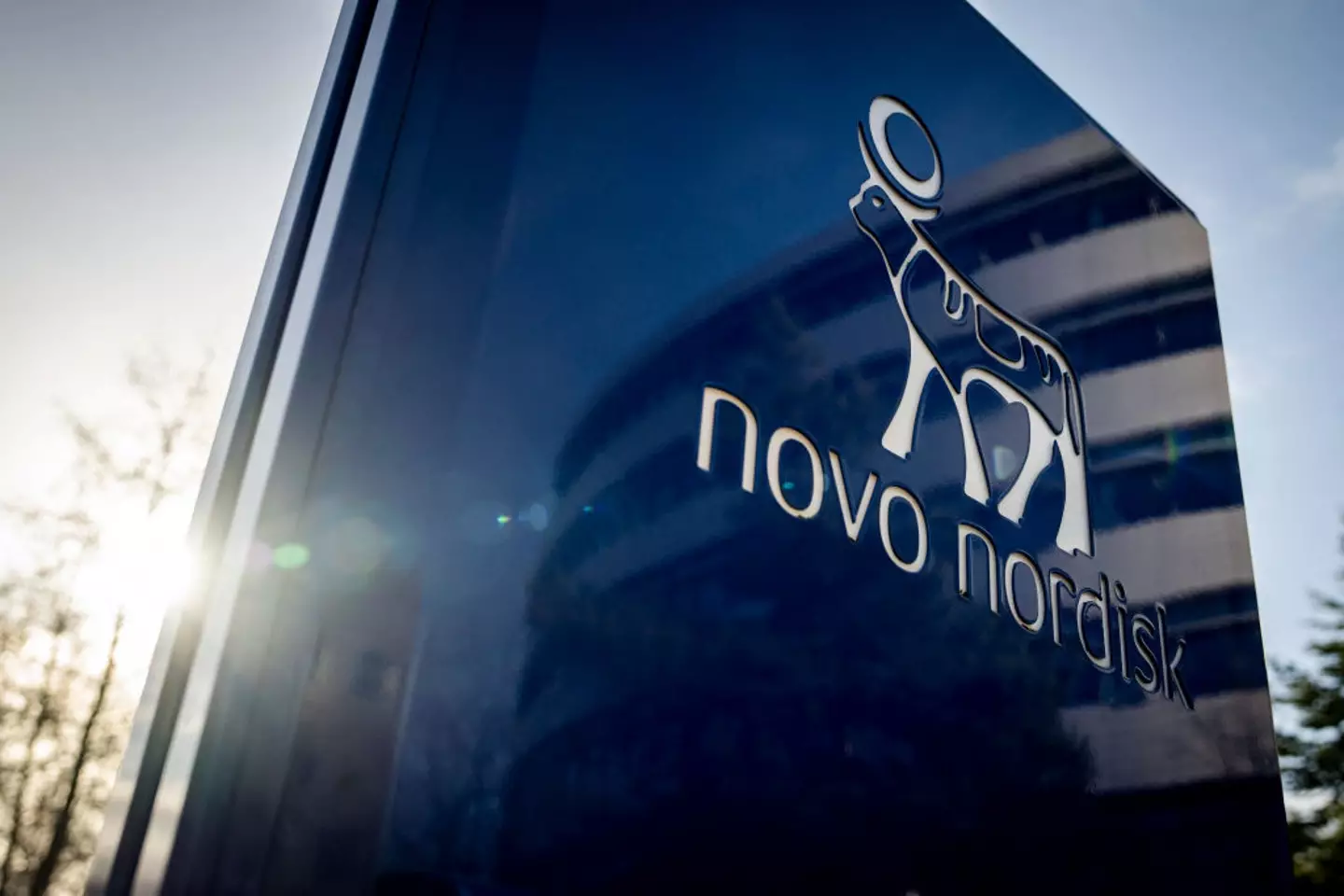 Novo Nordisk has worked with the EMA to update its labels (MADS CLAUS RASMUSSEN/Getty Images)