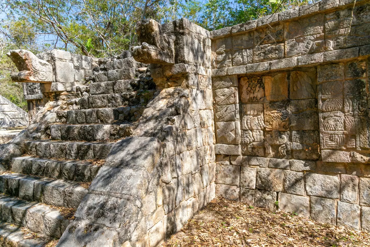 There's likely no singular reason why the Mayans disappeared, but studies have some good theories. (Geography Photos/Universal Images Group via Getty Images)