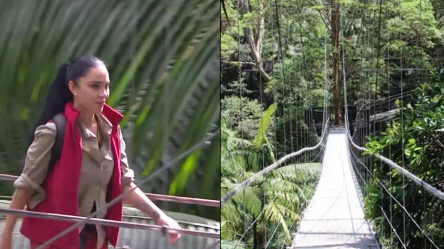 How I'm A Celeb campmates make such a quick exit across the bridge after being voted out