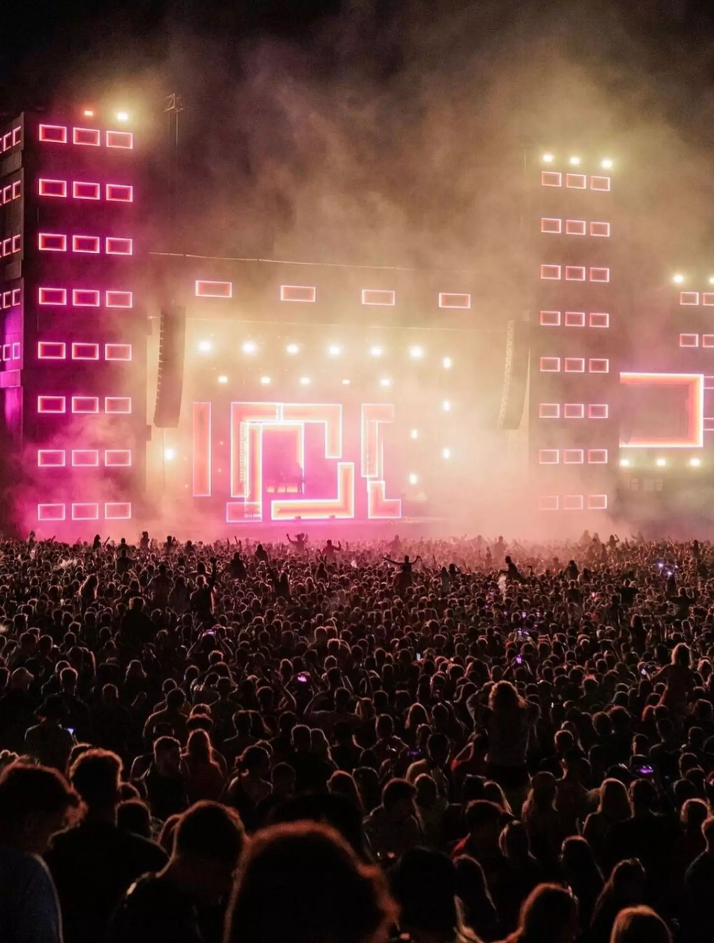 A crowd of 80,000 people gathered at Parklife festival this year.